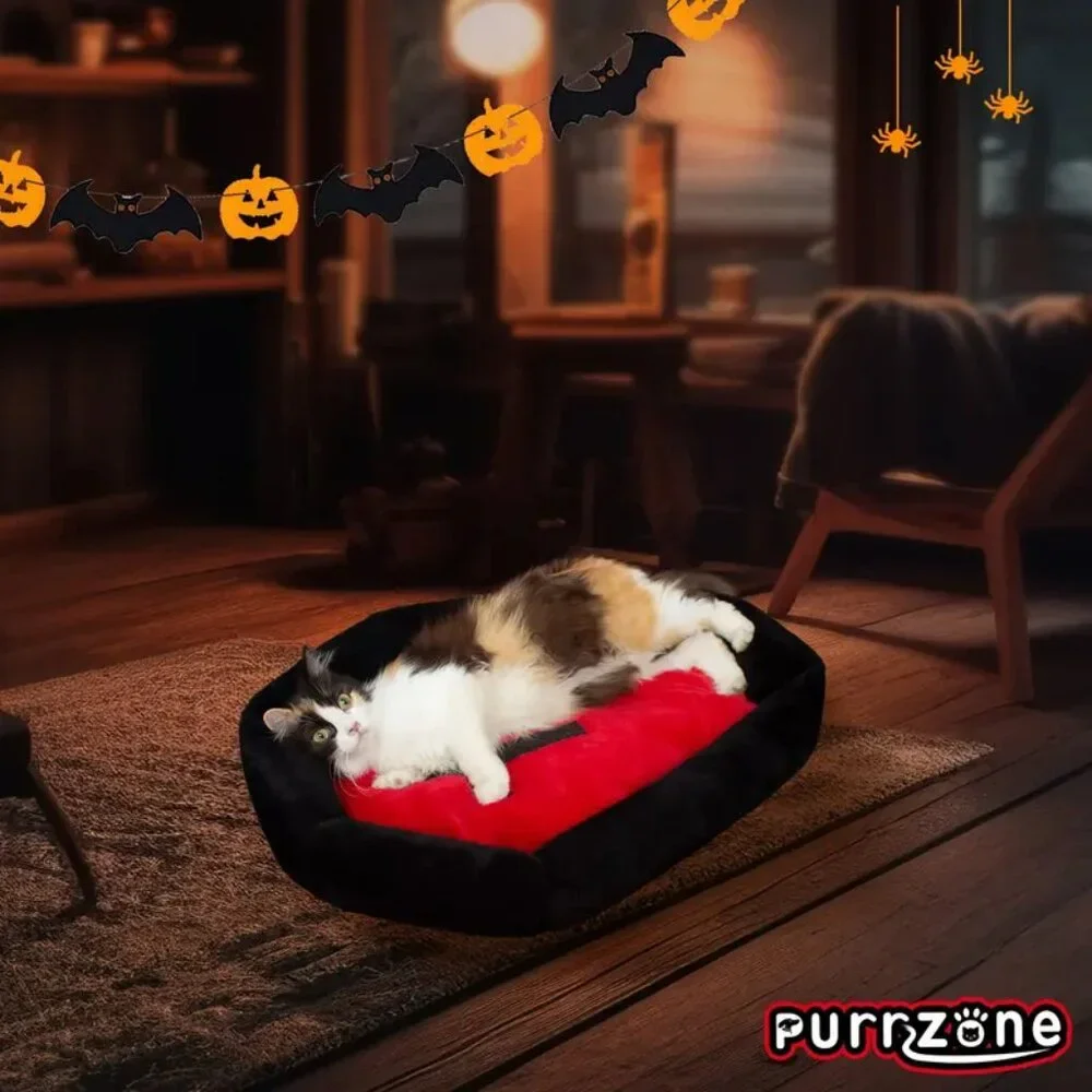 {NEW} Gothic Cat Bed (Fits Up To 25 Lbs) Washable Coffin Cat Bed Fluffy